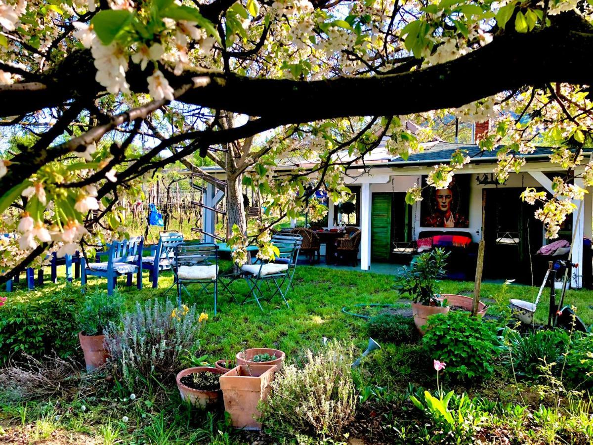 Bohemian Eco Lodge At Lake Balaton Kisapati Экстерьер фото