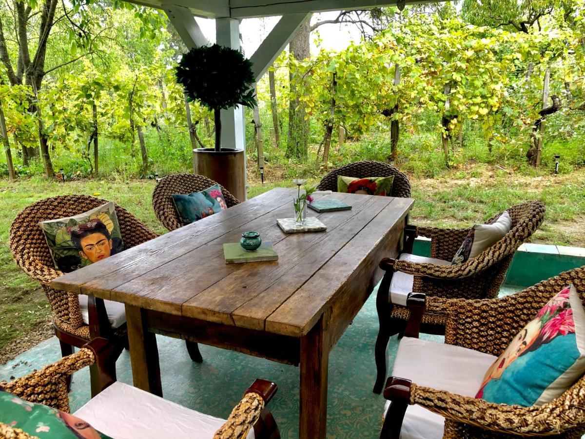 Bohemian Eco Lodge At Lake Balaton Kisapati Экстерьер фото