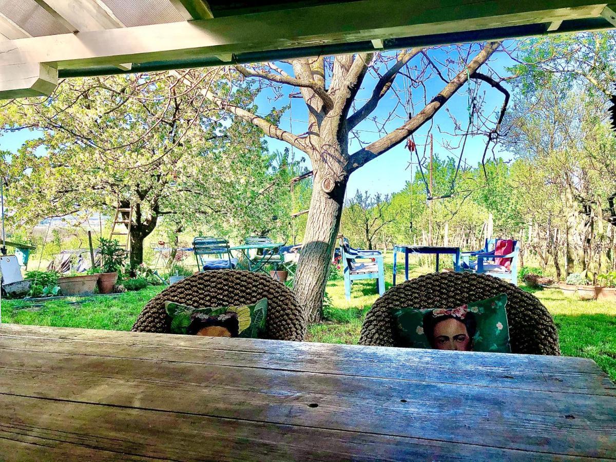 Bohemian Eco Lodge At Lake Balaton Kisapati Экстерьер фото